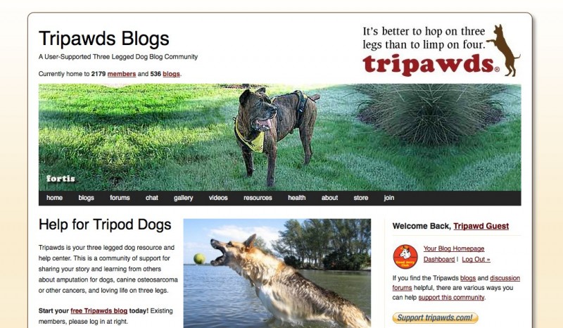 Tripawds Three Legged Dog Blogs WordPress Multisite Network