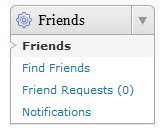 Friends Plugin Widget Admin Screenshot