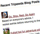 recent global wordpress network posts widget